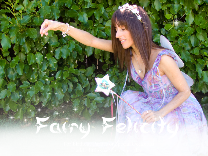 Fairy Felicity